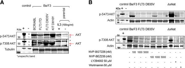 https://cdn.ncbi.nlm.nih.gov/pmc/blobs/bc01/3689638/507b25250cba/1476-4598-12-46-6.jpg
