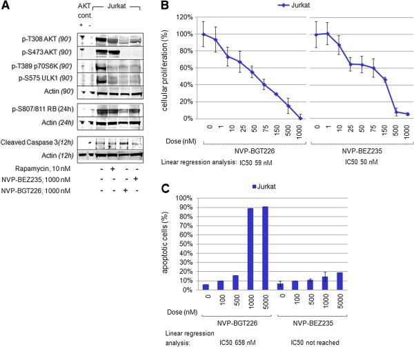 https://cdn.ncbi.nlm.nih.gov/pmc/blobs/bc01/3689638/a4d95e0af90a/1476-4598-12-46-2.jpg