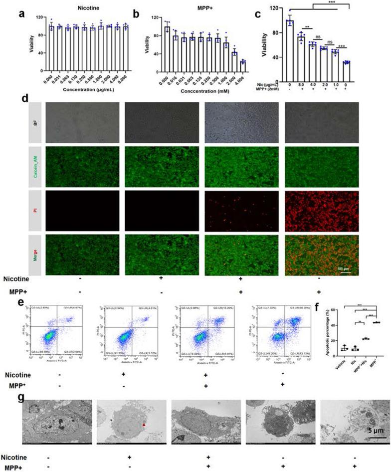 https://cdn.ncbi.nlm.nih.gov/pmc/blobs/bc03/11015622/e6b6e1da7172/12967_2024_5171_Fig3_HTML.jpg