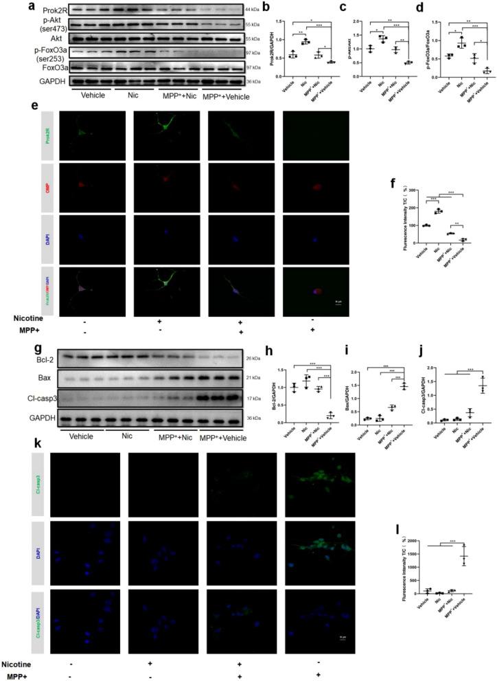 https://cdn.ncbi.nlm.nih.gov/pmc/blobs/bc03/11015622/fdd1855c930c/12967_2024_5171_Fig5_HTML.jpg