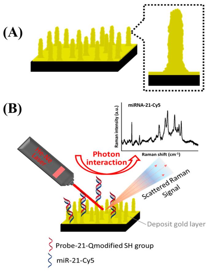 https://cdn.ncbi.nlm.nih.gov/pmc/blobs/bc03/7692079/69cbe359c94f/biosensors-10-00163-g001.jpg