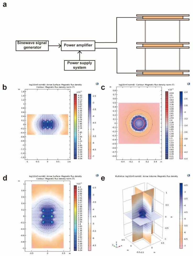 https://cdn.ncbi.nlm.nih.gov/pmc/blobs/bc05/7215396/3a881af6b104/ijms-21-02952-g008.jpg