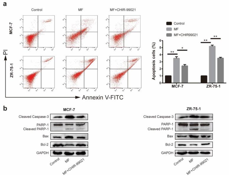 https://cdn.ncbi.nlm.nih.gov/pmc/blobs/bc05/7215396/61072c7451b1/ijms-21-02952-g007.jpg