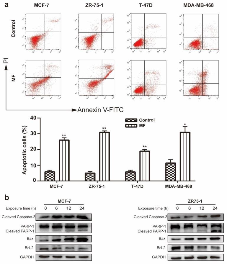 https://cdn.ncbi.nlm.nih.gov/pmc/blobs/bc05/7215396/9a1f14905b68/ijms-21-02952-g002.jpg