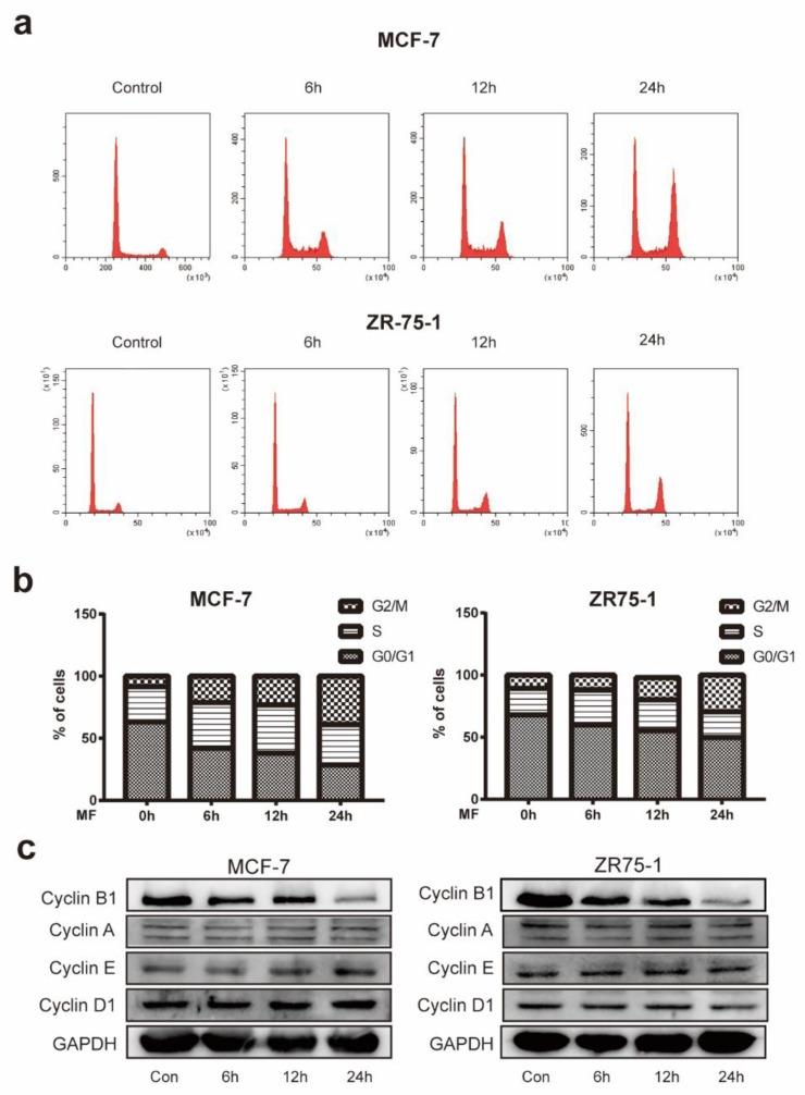 https://cdn.ncbi.nlm.nih.gov/pmc/blobs/bc05/7215396/c366298fa584/ijms-21-02952-g003.jpg