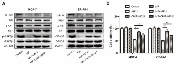 https://cdn.ncbi.nlm.nih.gov/pmc/blobs/bc05/7215396/f8e1e9f0b5f8/ijms-21-02952-g006.jpg