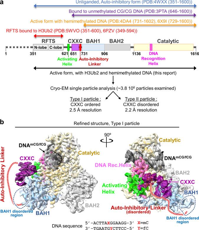 https://cdn.ncbi.nlm.nih.gov/pmc/blobs/bc05/9681727/84e7ef352689/41467_2022_34779_Fig1_HTML.jpg