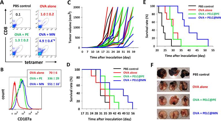 https://cdn.ncbi.nlm.nih.gov/pmc/blobs/bc06/7549439/69091c018b38/jitc-2020-001022f03.jpg
