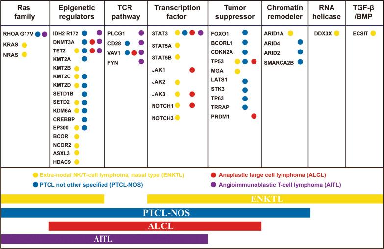 https://cdn.ncbi.nlm.nih.gov/pmc/blobs/bc06/7664070/2d1eebdf1819/40164_2020_188_Fig1_HTML.jpg