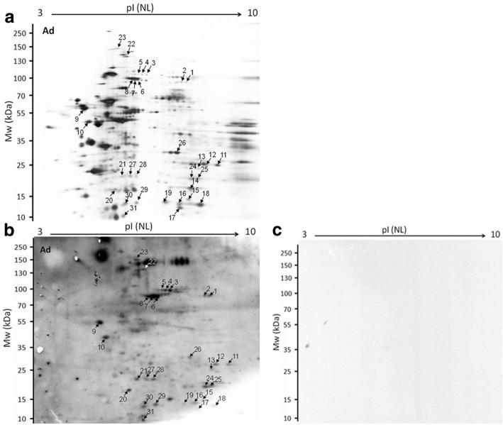 https://cdn.ncbi.nlm.nih.gov/pmc/blobs/bc08/6233509/4d9d4a12702b/13071_2018_3177_Fig1_HTML.jpg