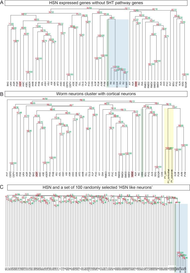 https://cdn.ncbi.nlm.nih.gov/pmc/blobs/bc09/5916565/3d83417ca3f8/elife-32785-fig8-figsupp1.jpg