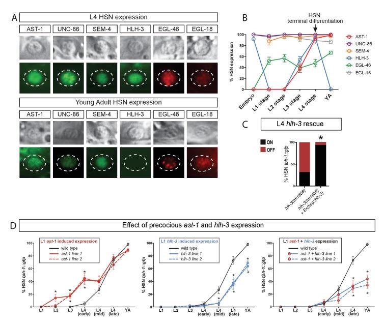 https://cdn.ncbi.nlm.nih.gov/pmc/blobs/bc09/5916565/d1524aad8bda/elife-32785-fig2.jpg