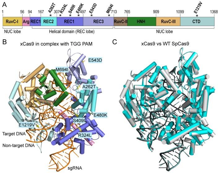 https://cdn.ncbi.nlm.nih.gov/pmc/blobs/bc09/6808508/0eab69b300fc/pbio.3000496.g002.jpg