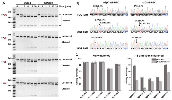 https://cdn.ncbi.nlm.nih.gov/pmc/blobs/bc09/6808508/1016af5a9a0e/pbio.3000496.g001.jpg