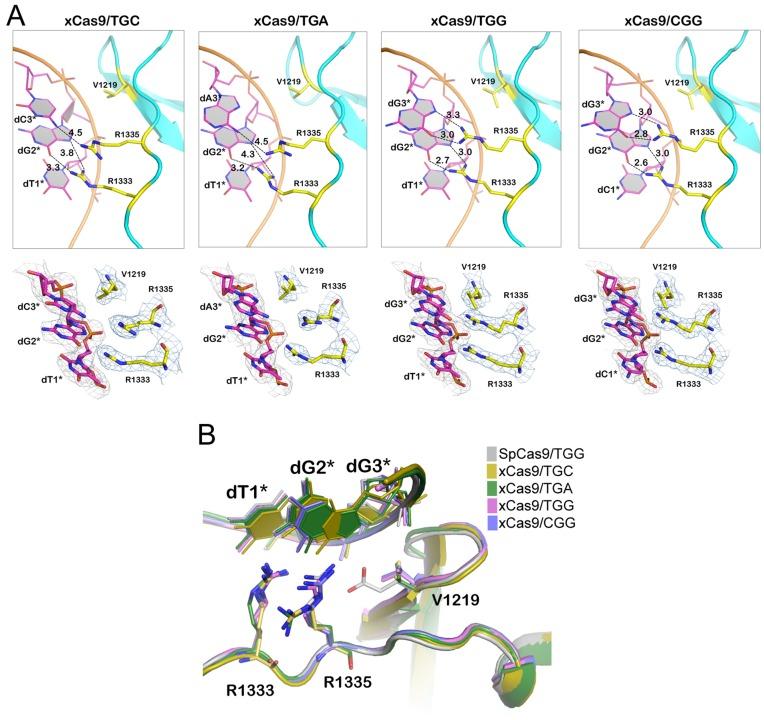https://cdn.ncbi.nlm.nih.gov/pmc/blobs/bc09/6808508/1ef29390428d/pbio.3000496.g004.jpg
