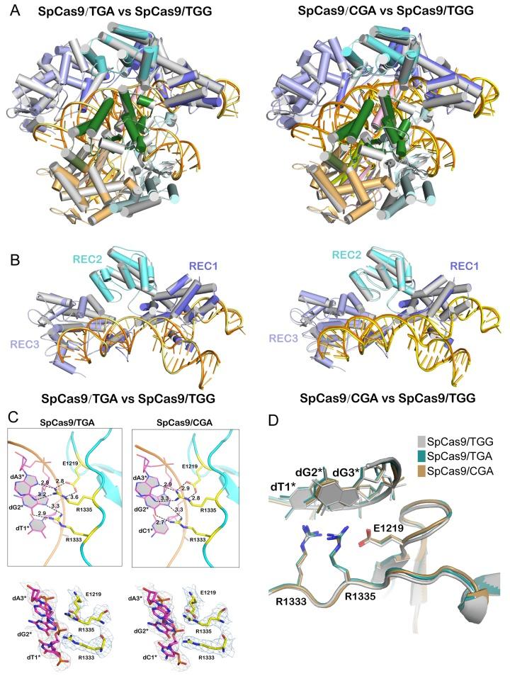 https://cdn.ncbi.nlm.nih.gov/pmc/blobs/bc09/6808508/69adf2c06d39/pbio.3000496.g005.jpg