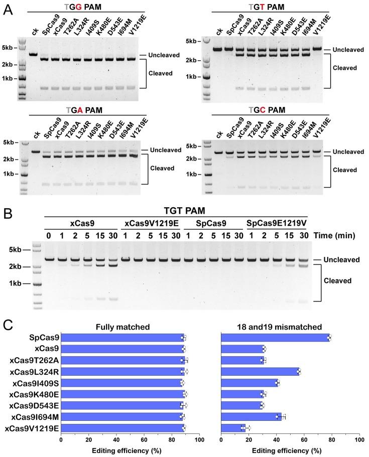 https://cdn.ncbi.nlm.nih.gov/pmc/blobs/bc09/6808508/cf74faa23c2a/pbio.3000496.g006.jpg