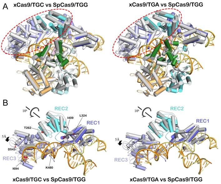 https://cdn.ncbi.nlm.nih.gov/pmc/blobs/bc09/6808508/d598c3fa56d9/pbio.3000496.g003.jpg