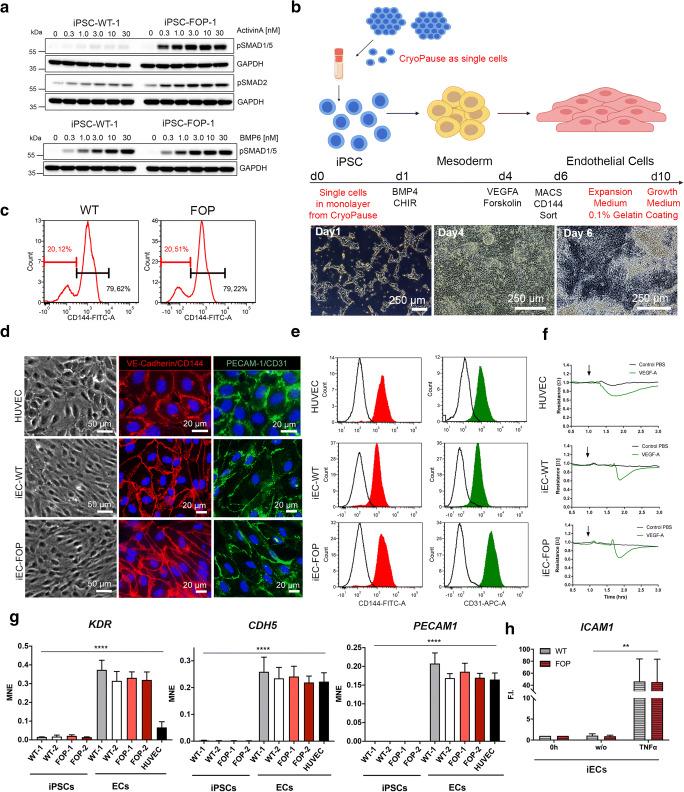 https://cdn.ncbi.nlm.nih.gov/pmc/blobs/bc09/8166717/57296f25c877/12015_2020_10103_Fig1_HTML.jpg
