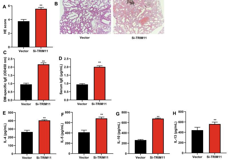 https://cdn.ncbi.nlm.nih.gov/pmc/blobs/bc0a/11523820/6113d00f4598/12890_2024_3351_Fig3_HTML.jpg