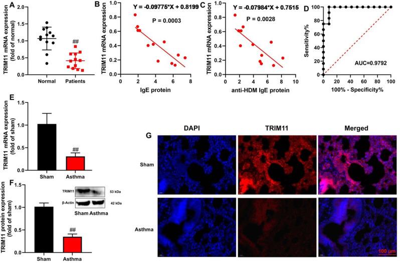 https://cdn.ncbi.nlm.nih.gov/pmc/blobs/bc0a/11523820/8e581060f245/12890_2024_3351_Fig1_HTML.jpg