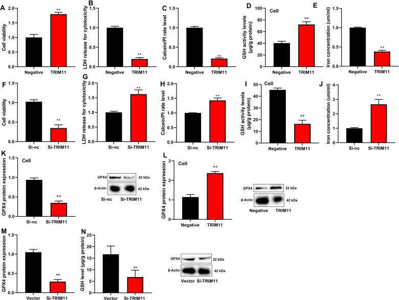 https://cdn.ncbi.nlm.nih.gov/pmc/blobs/bc0a/11523820/ab00609a763c/12890_2024_3351_Fig4_HTML.jpg