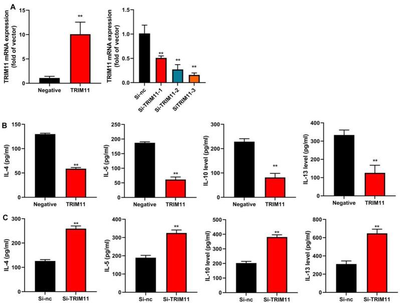 https://cdn.ncbi.nlm.nih.gov/pmc/blobs/bc0a/11523820/e8755e1bc0f7/12890_2024_3351_Fig2_HTML.jpg