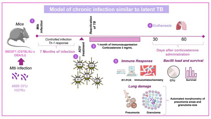 https://cdn.ncbi.nlm.nih.gov/pmc/blobs/bc0c/10610538/3f70c196d7c5/pharmaceuticals-16-01475-g002.jpg