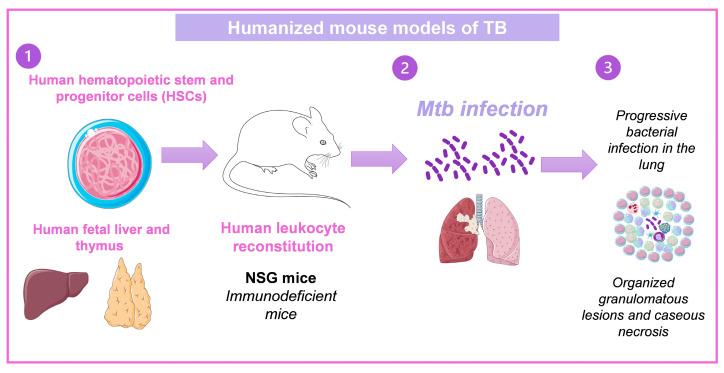 https://cdn.ncbi.nlm.nih.gov/pmc/blobs/bc0c/10610538/8f1bdda75fbd/pharmaceuticals-16-01475-g004.jpg
