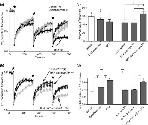 https://cdn.ncbi.nlm.nih.gov/pmc/blobs/bc0c/2878604/445c0bd662ed/jnc0113-1177-f3.jpg