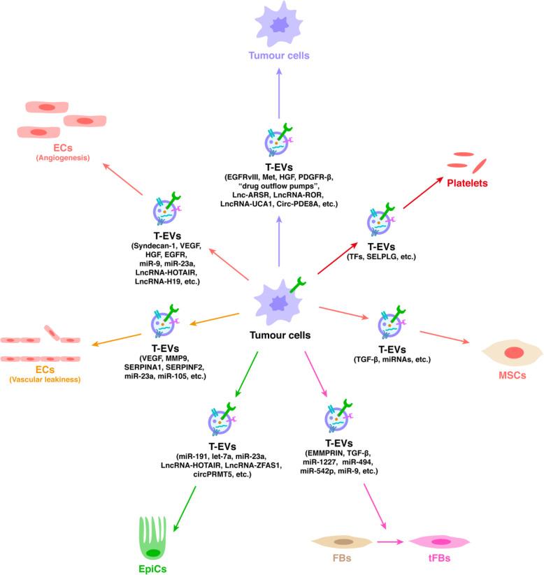 https://cdn.ncbi.nlm.nih.gov/pmc/blobs/bc0d/7574205/4d6070dbf881/12964_2020_643_Fig3_HTML.jpg