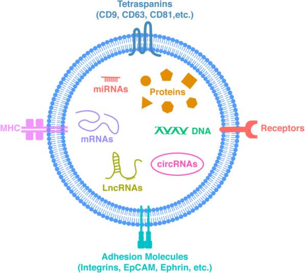 https://cdn.ncbi.nlm.nih.gov/pmc/blobs/bc0d/7574205/8cbe312bec14/12964_2020_643_Fig1_HTML.jpg