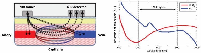 https://cdn.ncbi.nlm.nih.gov/pmc/blobs/bc0e/10525173/c858c51c1166/bioengineering-10-01085-g005.jpg
