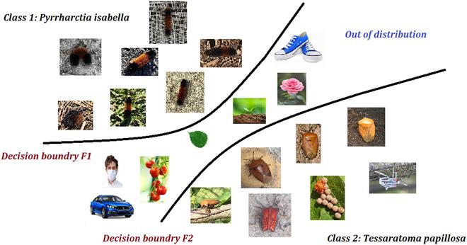 https://cdn.ncbi.nlm.nih.gov/pmc/blobs/bc0e/11065417/c67b819a13b3/plantphenomics.0170.fig.001.jpg