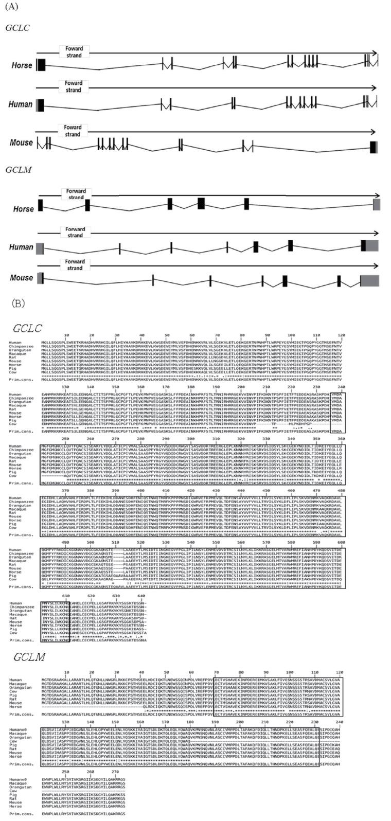 https://cdn.ncbi.nlm.nih.gov/pmc/blobs/bc0e/5411833/135946cc2152/ajas-30-5-728f1.jpg