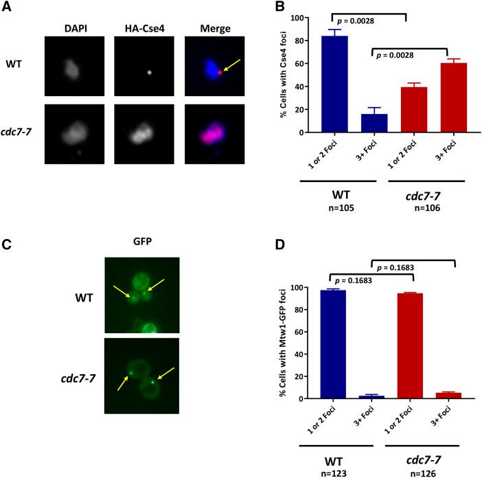https://cdn.ncbi.nlm.nih.gov/pmc/blobs/bc12/7263675/1f33b20e3cac/2057f4.jpg