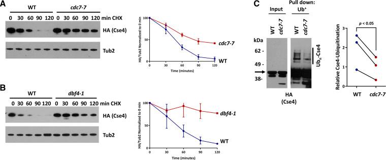 https://cdn.ncbi.nlm.nih.gov/pmc/blobs/bc12/7263675/afd8269d4580/2057f2.jpg