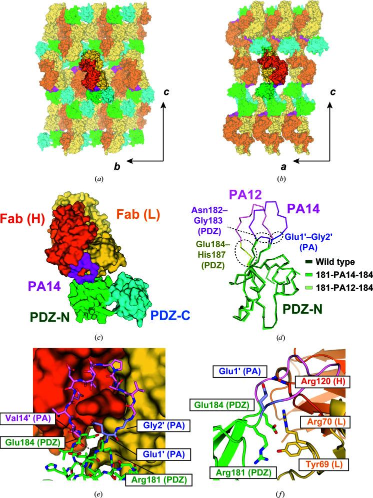 https://cdn.ncbi.nlm.nih.gov/pmc/blobs/bc12/8098476/8664021eb0a0/d-77-00645-fig2.jpg