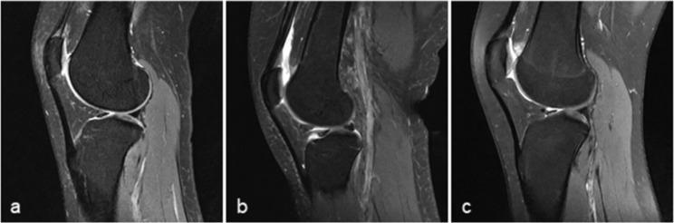 https://cdn.ncbi.nlm.nih.gov/pmc/blobs/bc13/10463576/03670dc48845/12891_2023_6827_Fig2_HTML.jpg