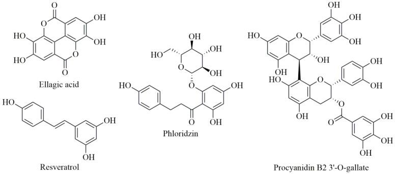 https://cdn.ncbi.nlm.nih.gov/pmc/blobs/bc13/7346180/7c15ea4f33a0/antioxidants-09-00547-g002.jpg