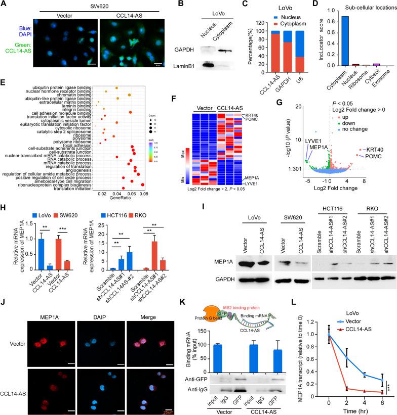 https://cdn.ncbi.nlm.nih.gov/pmc/blobs/bc16/9933342/207c001944bf/12935_2023_2866_Fig4_HTML.jpg
