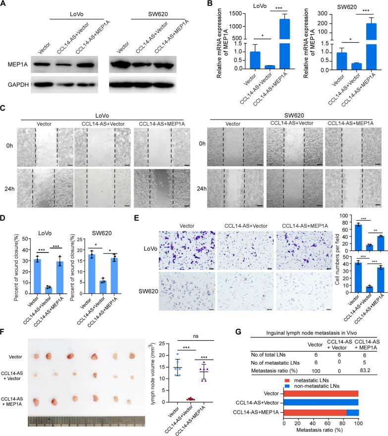 https://cdn.ncbi.nlm.nih.gov/pmc/blobs/bc16/9933342/241c3a26b17f/12935_2023_2866_Fig5_HTML.jpg