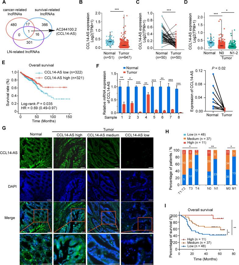 https://cdn.ncbi.nlm.nih.gov/pmc/blobs/bc16/9933342/651ba011b242/12935_2023_2866_Fig1_HTML.jpg