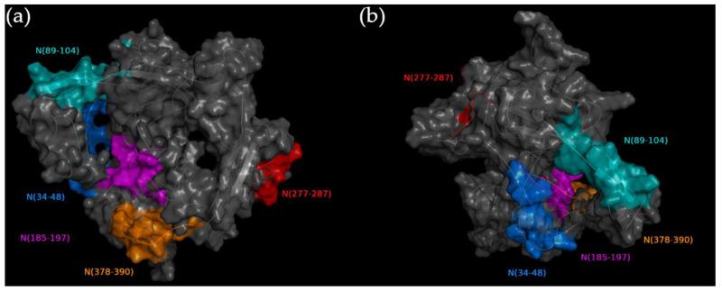 https://cdn.ncbi.nlm.nih.gov/pmc/blobs/bc17/10145278/88d546fa2f8b/viruses-15-00923-g001.jpg