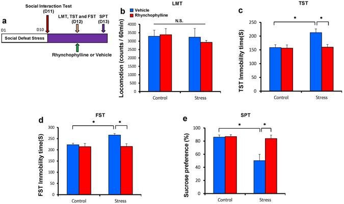 https://cdn.ncbi.nlm.nih.gov/pmc/blobs/bc17/5541046/e3a839cfc09d/41598_2017_7325_Fig3_HTML.jpg