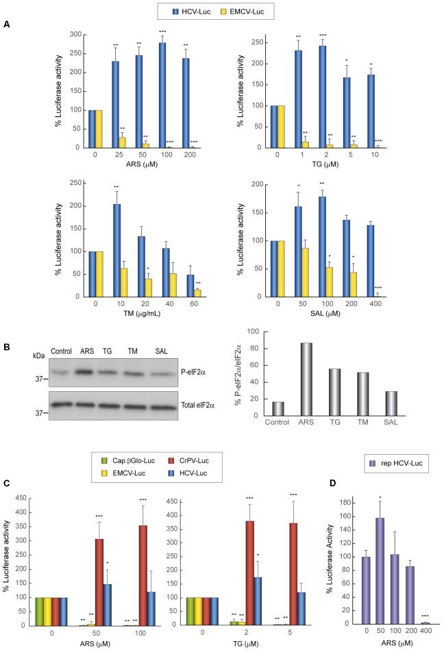 https://cdn.ncbi.nlm.nih.gov/pmc/blobs/bc17/5816946/1db1e62a7e86/fmicb-09-00207-g001.jpg
