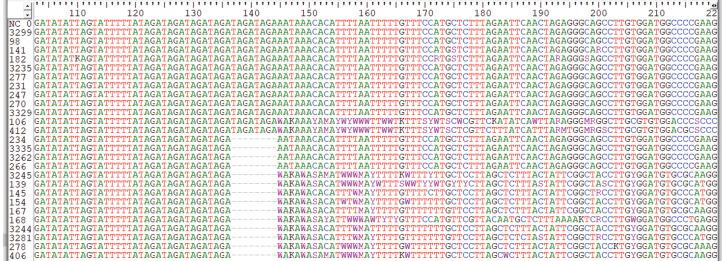 https://cdn.ncbi.nlm.nih.gov/pmc/blobs/bc17/7901355/52540151d53c/peerj-09-10678-g004.jpg