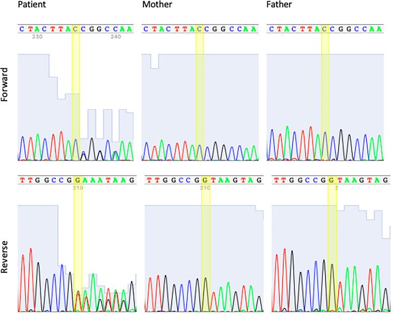 https://cdn.ncbi.nlm.nih.gov/pmc/blobs/bc17/8325841/64c3876d015f/12920_2021_1045_Fig3_HTML.jpg