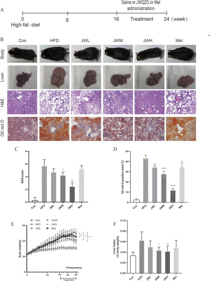 https://cdn.ncbi.nlm.nih.gov/pmc/blobs/bc1a/11992867/477eabac260a/41065_2025_427_Fig3_HTML.jpg