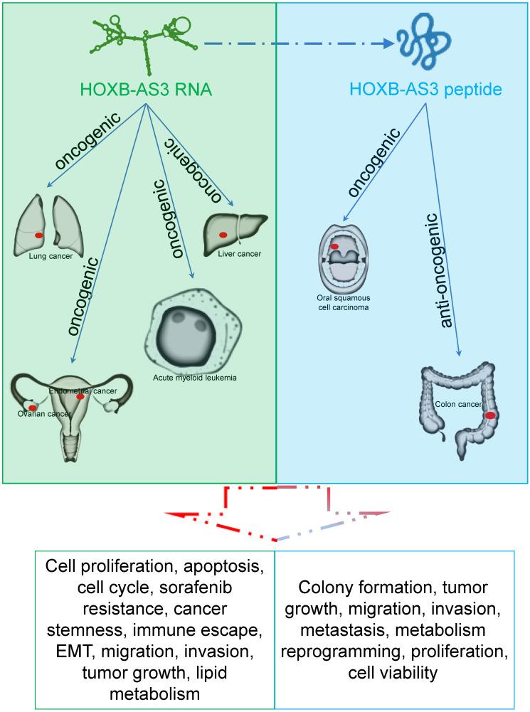 https://cdn.ncbi.nlm.nih.gov/pmc/blobs/bc1d/10777036/935705c3b297/jcav15p0714g006.jpg